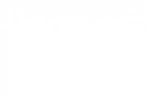 NZ Equestrian Transparent White